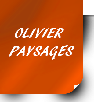 Paysagiste Chteau-Thierry - Elagage Montmirail